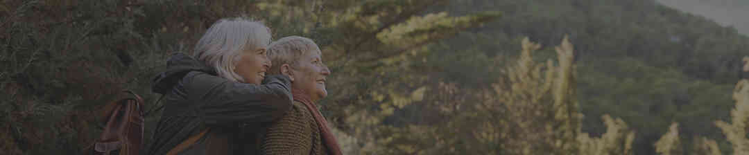 Senior Advisor helping client