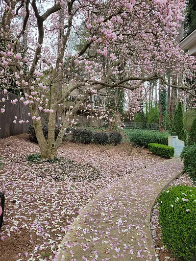 Safe Haven at Lenox Park in Atlanta, Georgia — photo 3