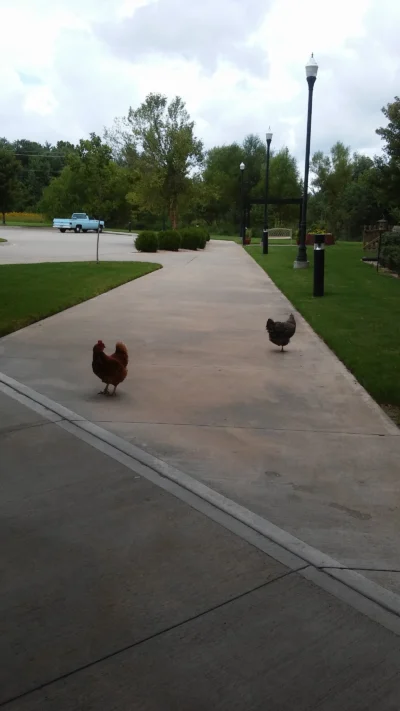 The Meadows Independent & Assisted Living Community in Bentonville, Arkansas — photo 4