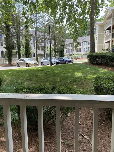 MerryWood on Park in Charlotte, North Carolina — photo 6