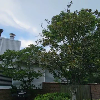 Aldea Green in Brandon, Florida — photo 3